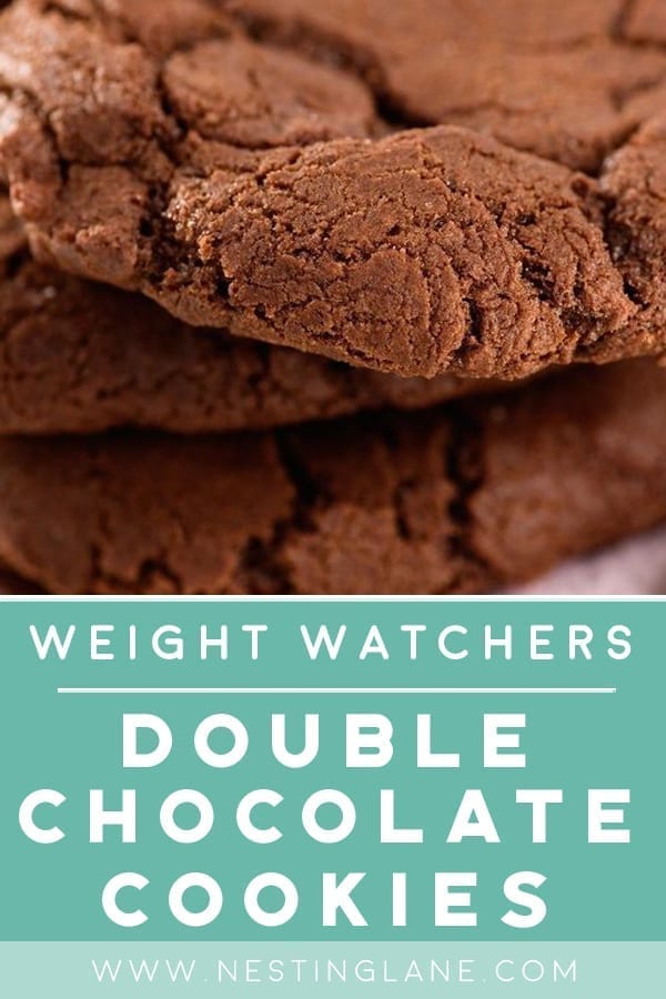 Weight Watchers Double Chocolate Cookies