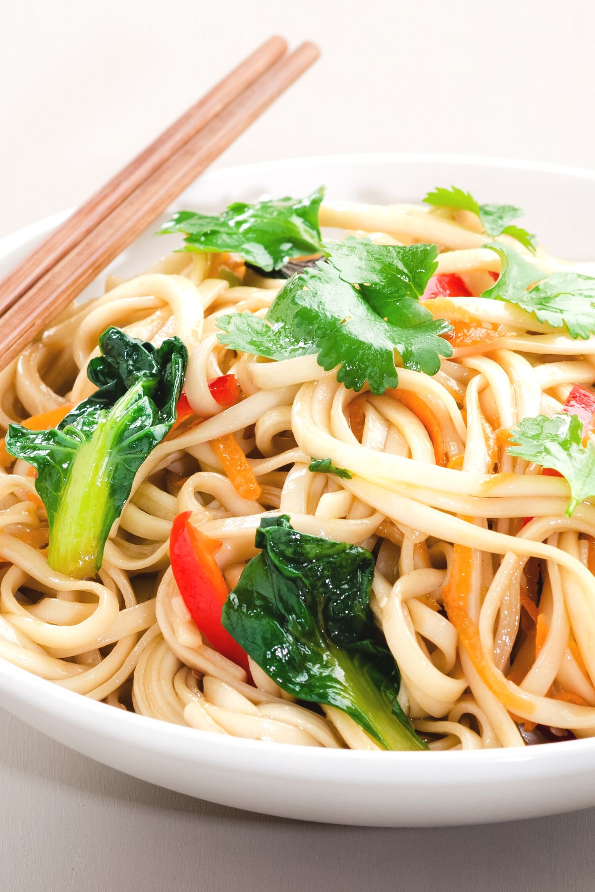 Closeup of Weight Watchers Yakisoba Noodle Stir-Fry in a white bowl.