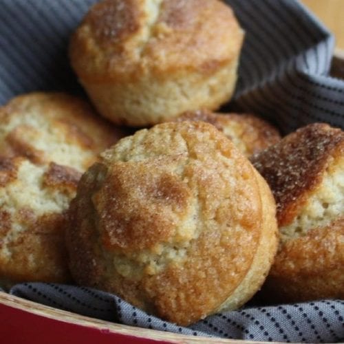 Weight Watchers Cinnamon Muffins