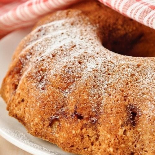 Weight Watchers Apple Cake - Nesting Lane Desserts