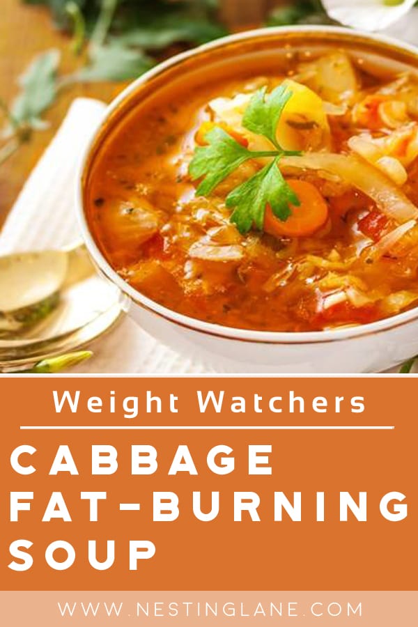 Weight Watchers Cabbage Fat Burning Soup 