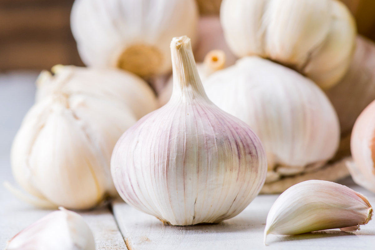 Fresh garlic on a light colored rustic surface.