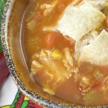 Closeup of Weight Watchers Quick and Easy Tortilla Soup