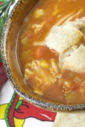 Closeup of Weight Watchers Quick and Easy Tortilla Soup