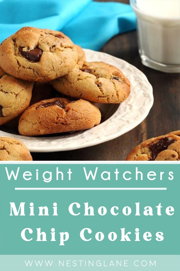 Weight Watchers Mini Chocolate Chip Cookies 