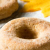 Weight Watchers Baked Cider Donuts