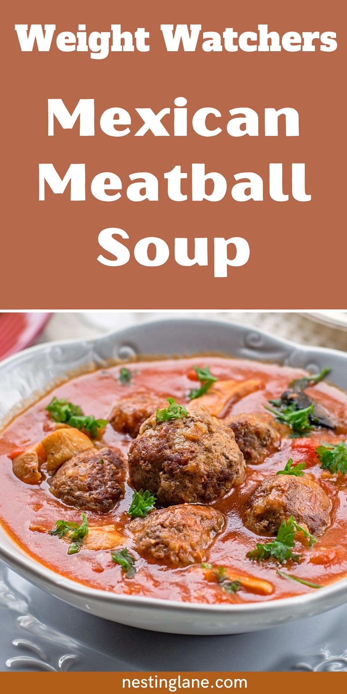 Graphic for Pinterest of Weight Watchers Mexican Meatball Soup Recipe.