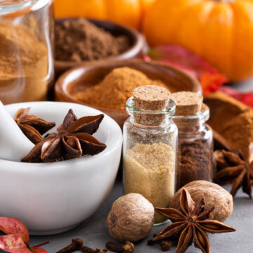 Weight Watchers Pumpkin Spice Mix