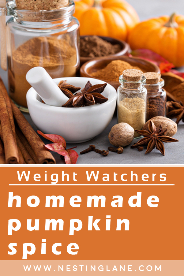 Weight Watchers Pumpkin Spice Mix 