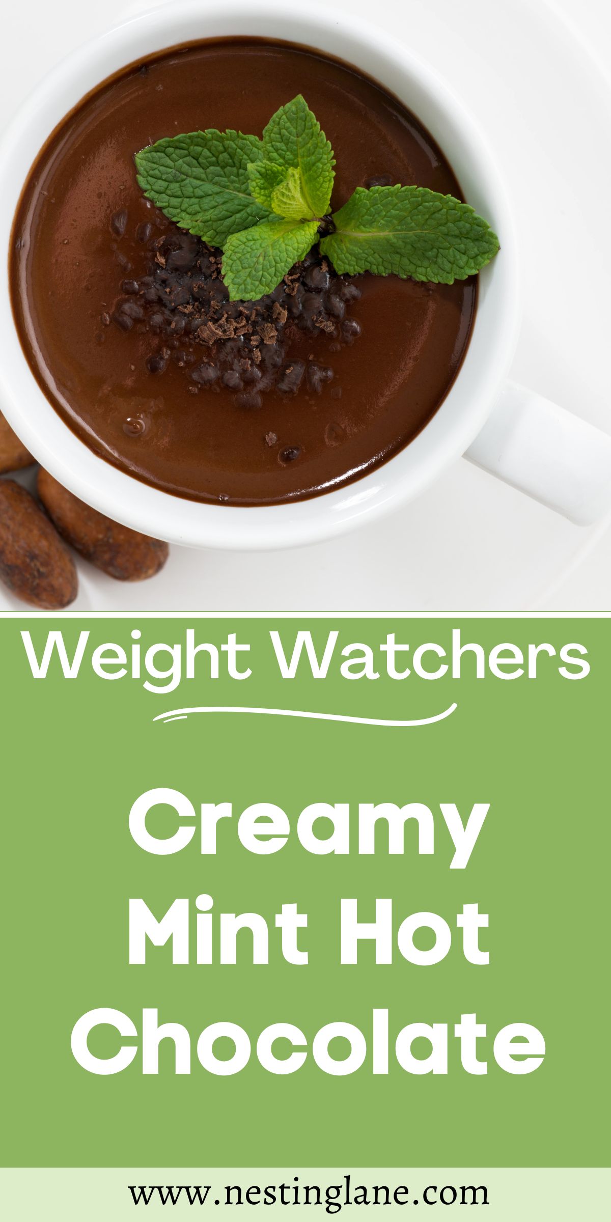 Graphic for Pinterest of Weight Watchers Mint Hot Chocolate Recipe.
