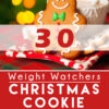 Graphic for Pinterest of 30 Weight Watchers Christmas Cookie Recipes