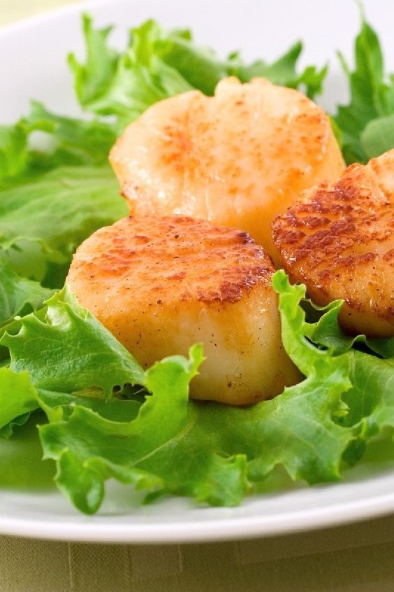 Scallops on a bed of lettuce.