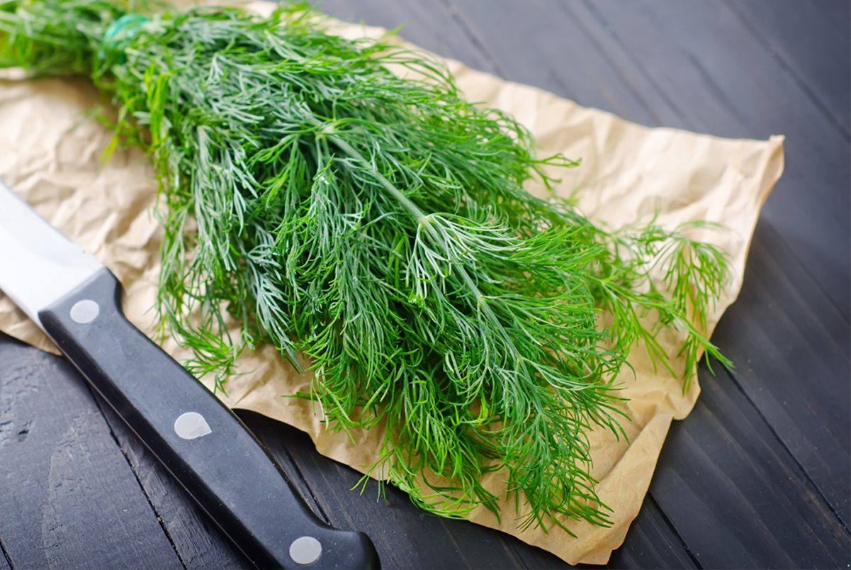 Fresh dill on brown paper with a knife next to it.