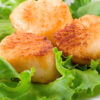 Closeup of Weight Watchers Broiled Scallops on a bed of lettuce.
