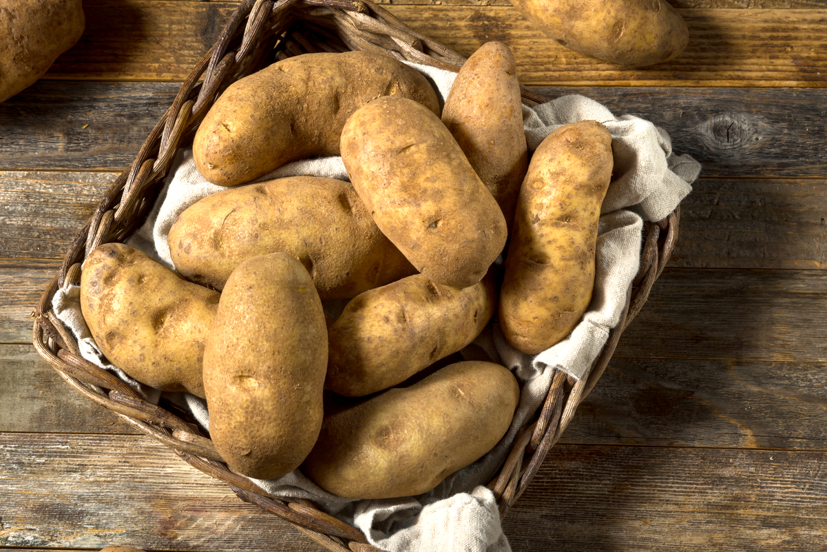 Russet Potatoes in a basket.