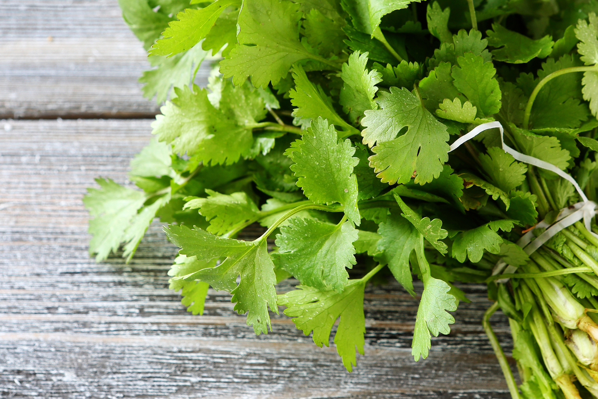 Fresh cilantro on a wooden surface.