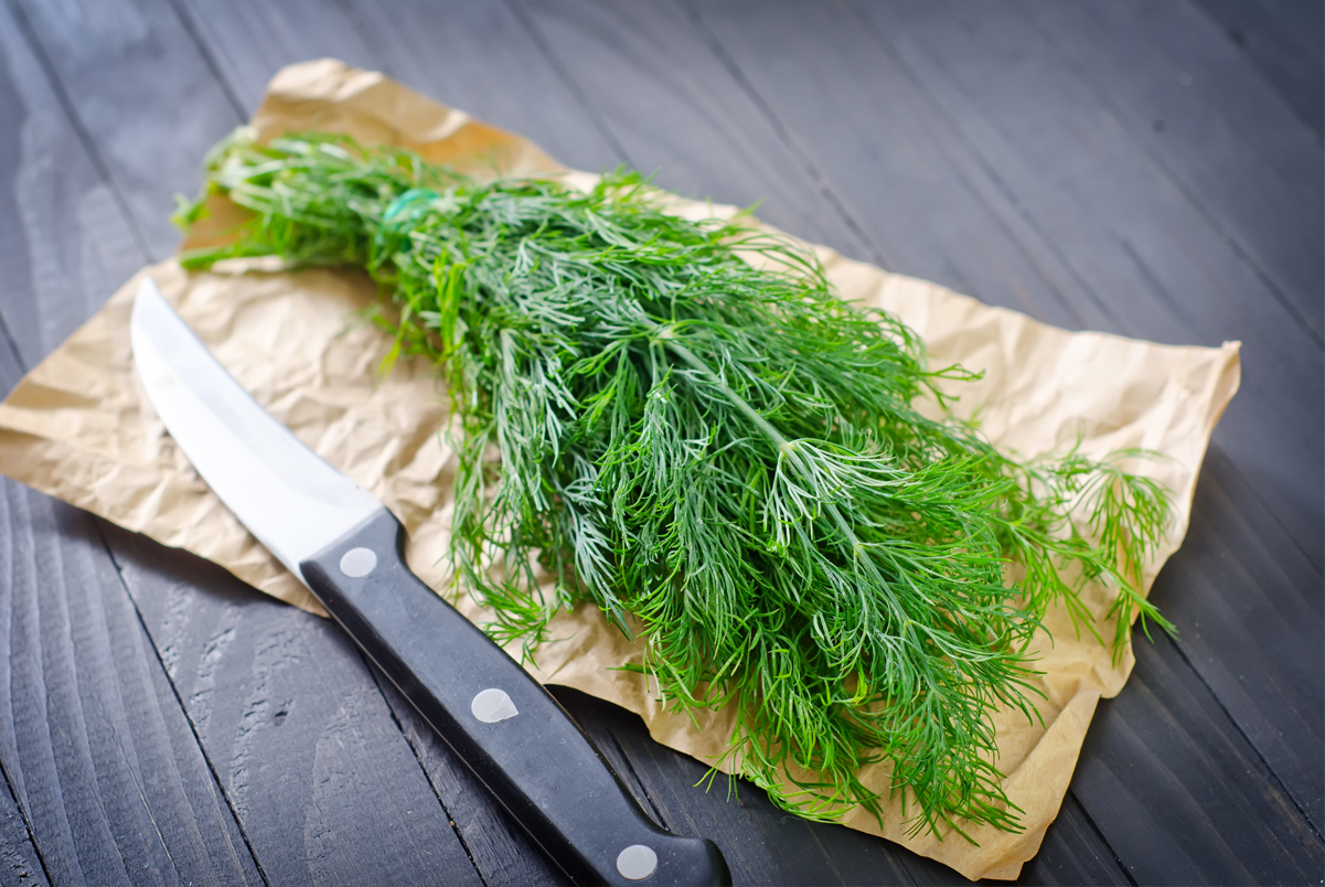 Fresh dill on a brown paper sitting on a dark slate surface with a knife next to it.