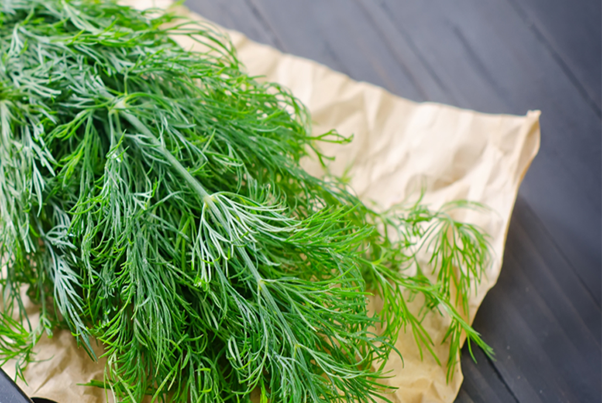 Fresh dill on a brown paper sitting on a dark slate surface.