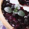 a slice of Simple Weight Watchers Blueberry Pie on a white plate.