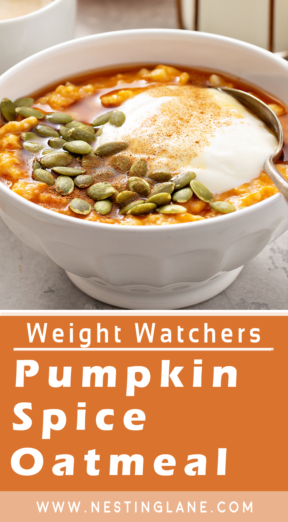 Graphic for Pinterest of Weight Watchers Slow Cooker Pumpkin Spice Oatmeal
