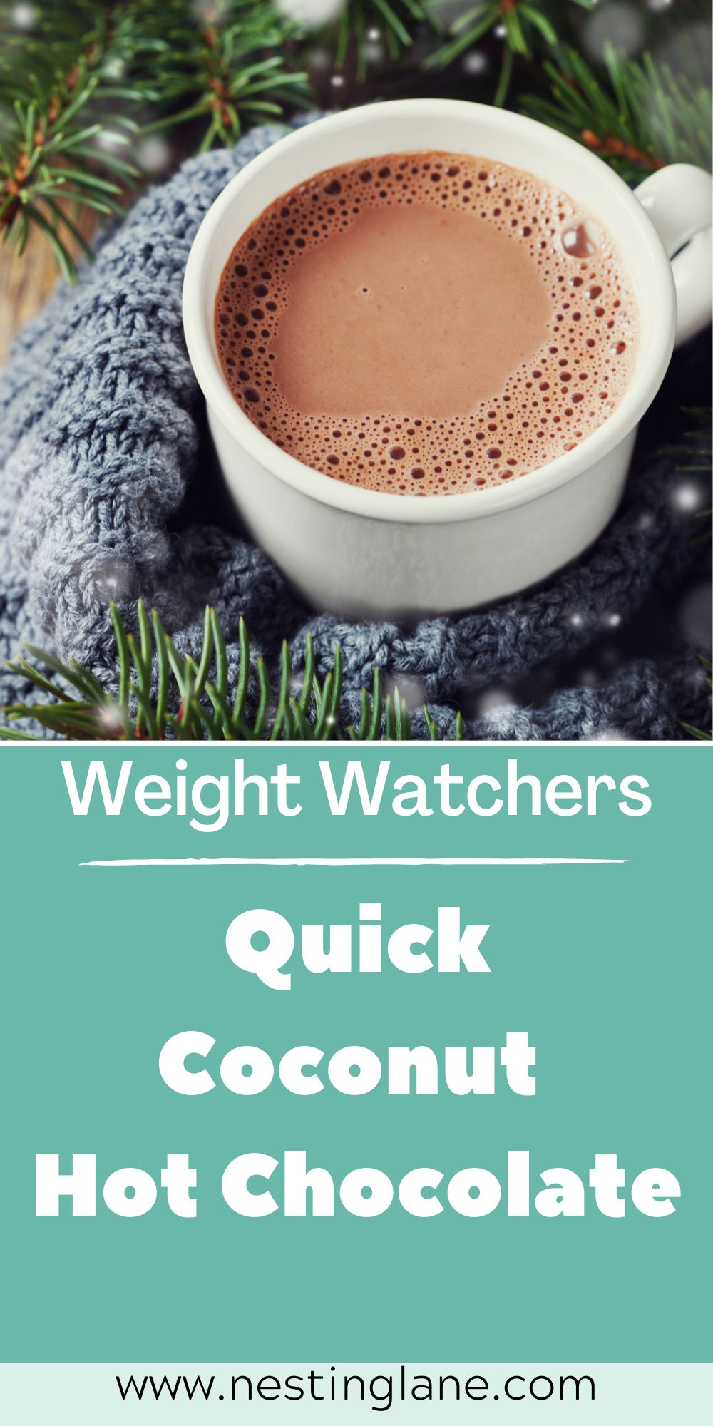 Graphic for Pinterest of Quick Weight Watchers Coconut Hot Chocolate Recipe.