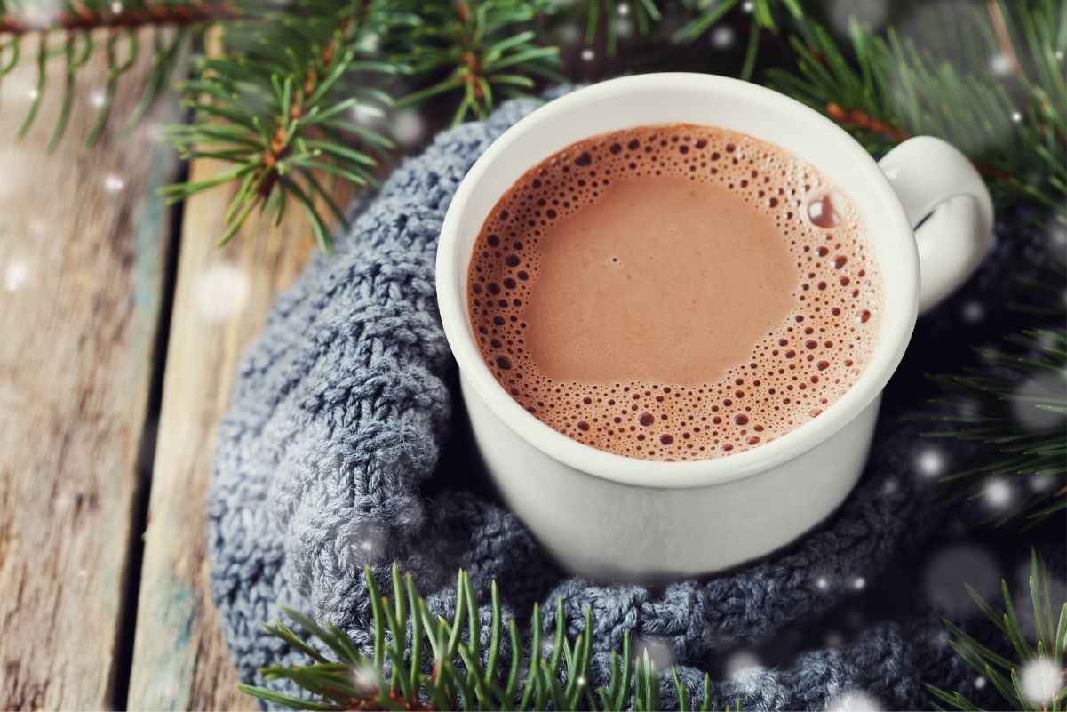 Quick Weight Watchers Coconut Hot Chocolate in a white cup sitting on a blue cloth, surrounded by pine branches.