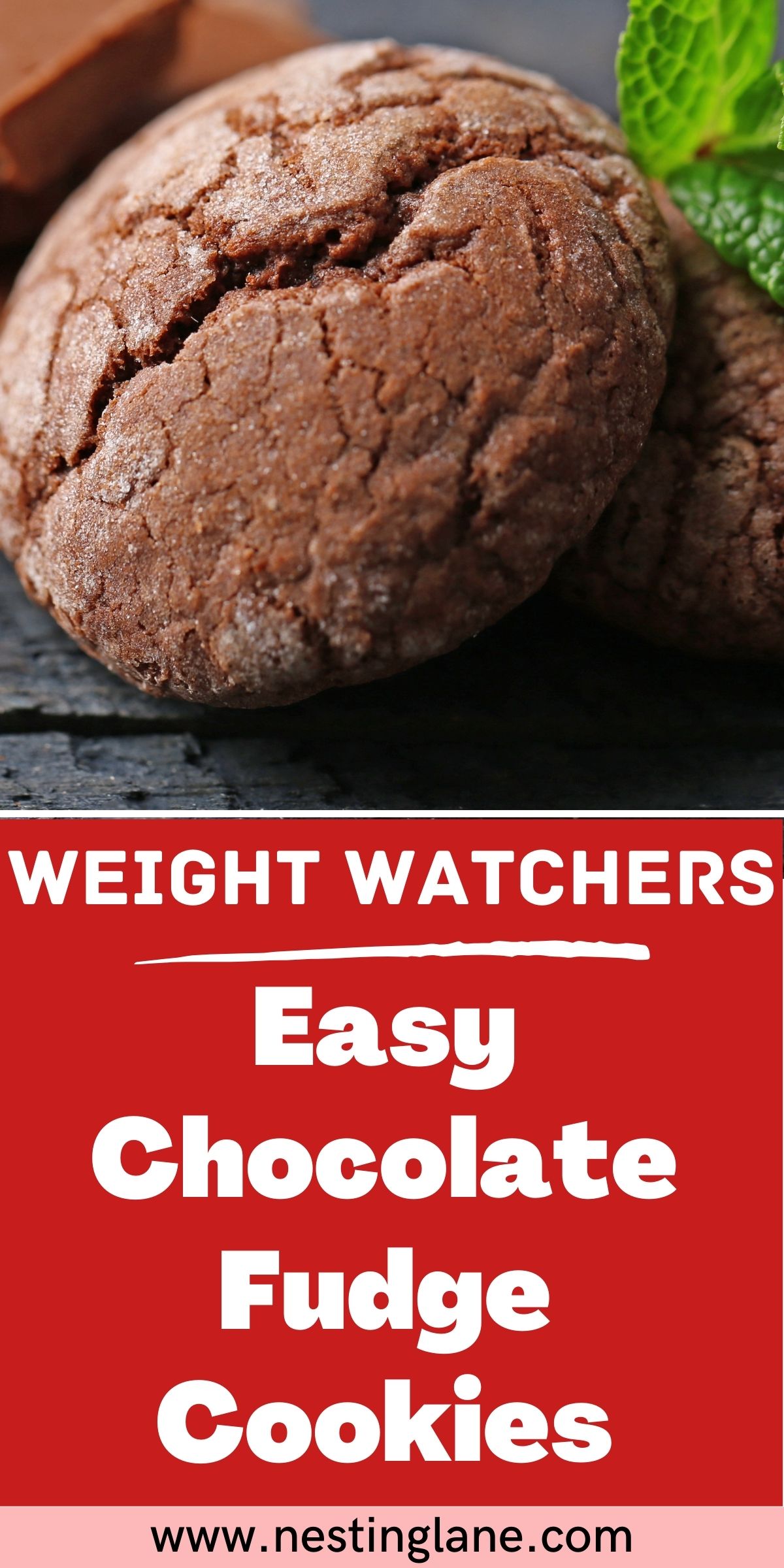 Graphic for Pinterest of Easy Chocolate Fudge Cookies (Weight Watchers) Recipe.