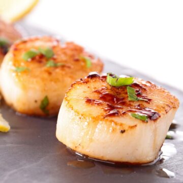 Closeup of Weight Watchers Truffle Salt Seared Sea Scallops on a dark surface.