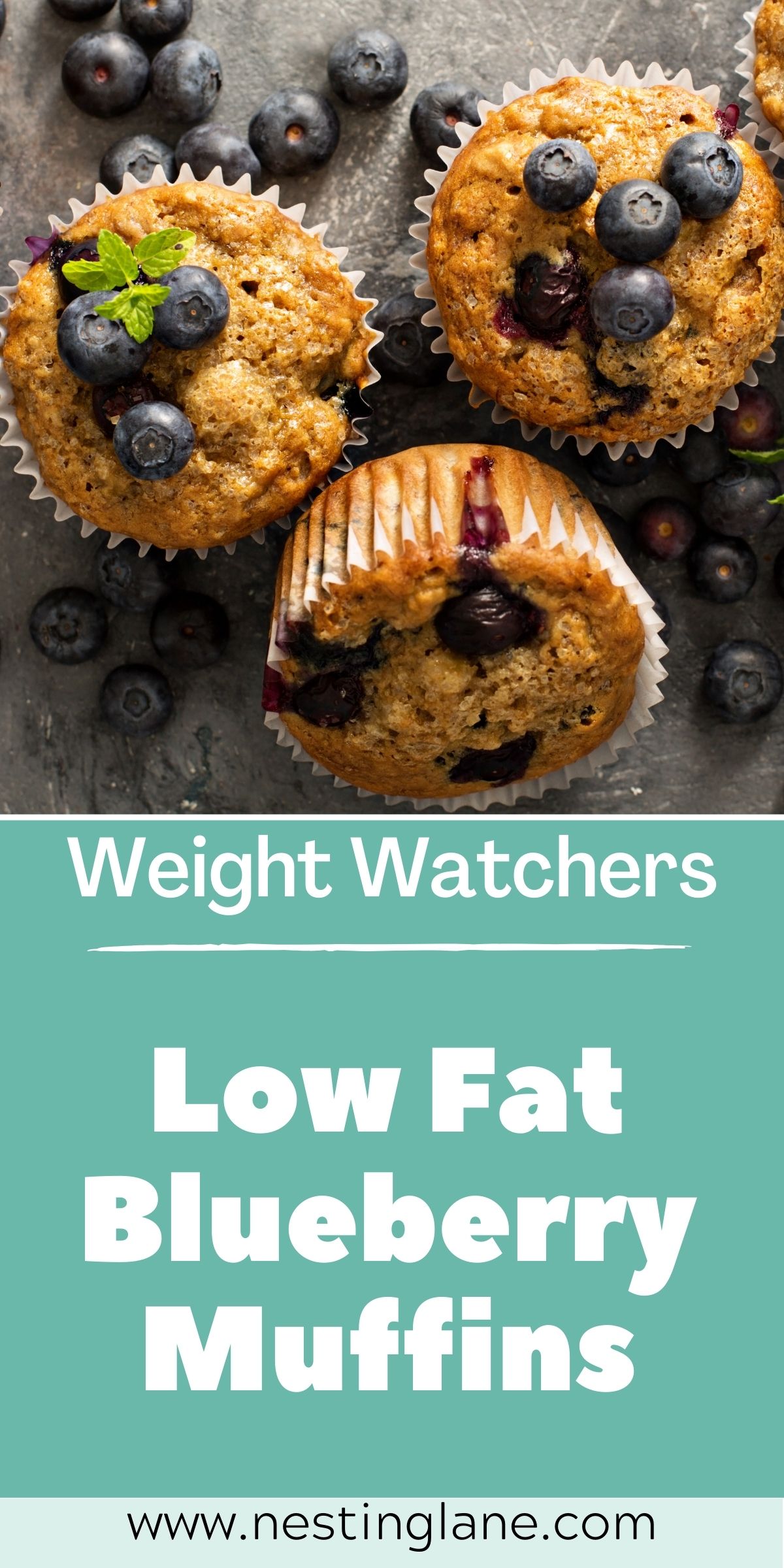 Graphic for Pinterest of Weight Watchers Low Fat Blueberry Muffins Recipe.