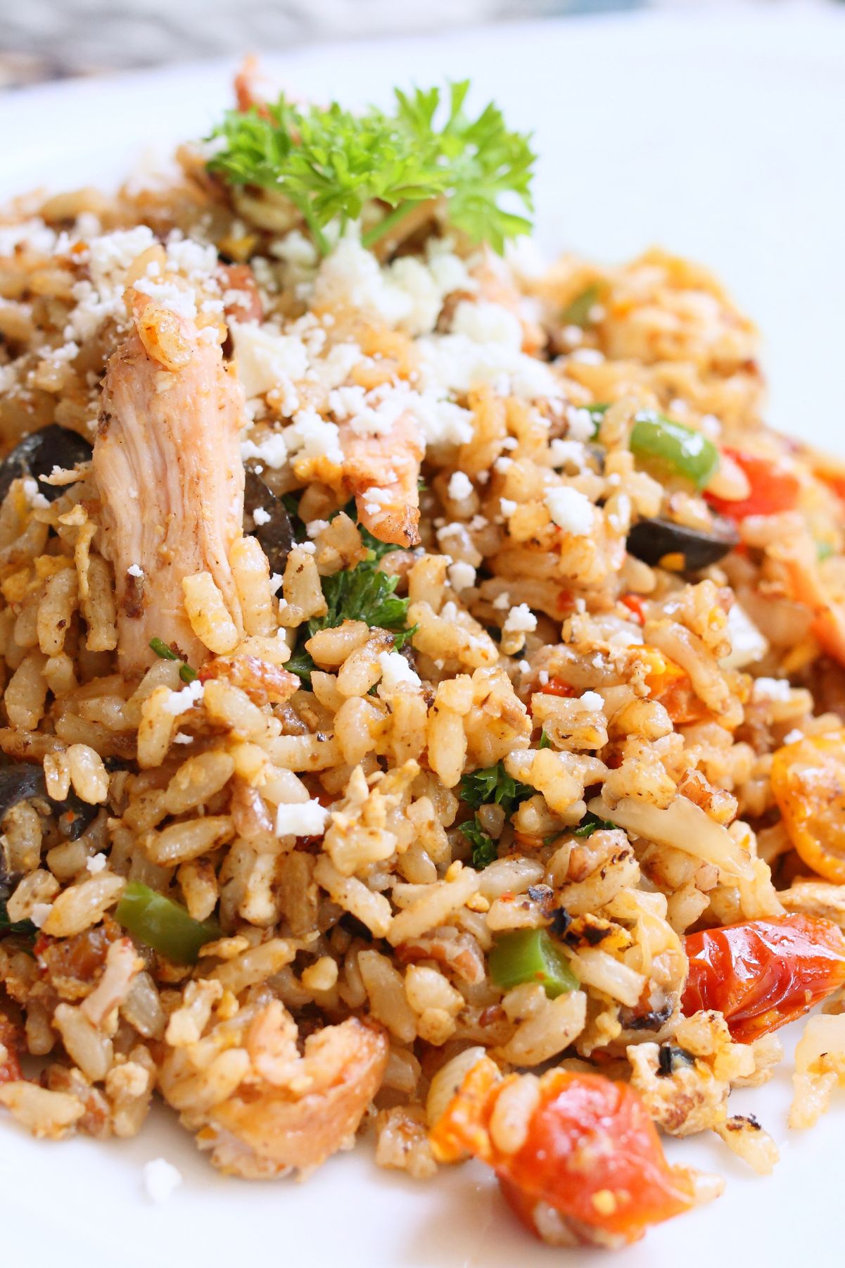 Closeup of Weight Watchers Cajun Chicken and Rice Recipe.