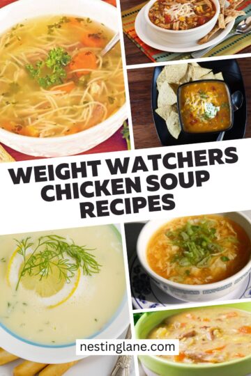 Weight Watchers Chicken Soup Recipes