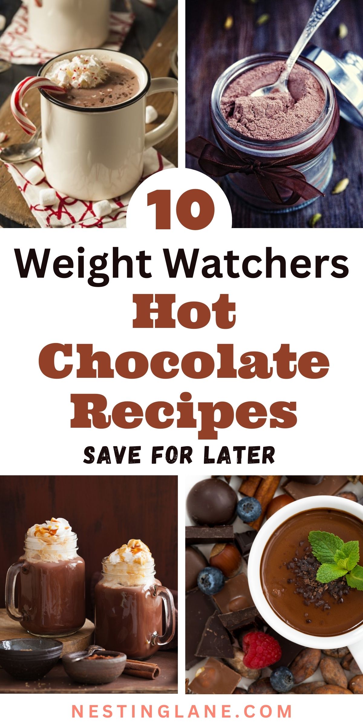 Graphic collage of 10 Weight Watchers Hot Chocolate Recipes.