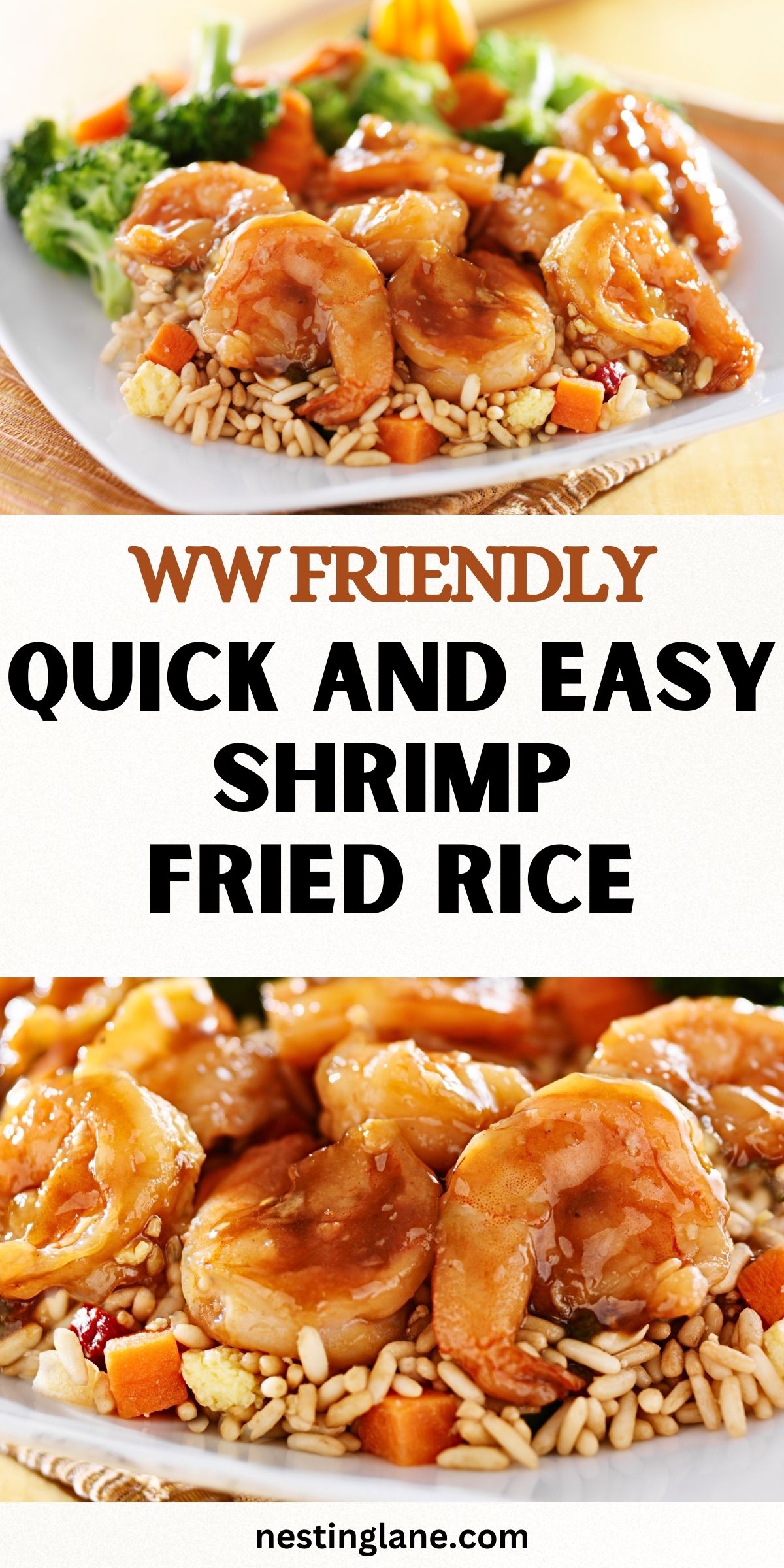 Quick And Easy Shrimp Fried Rice Graphic.