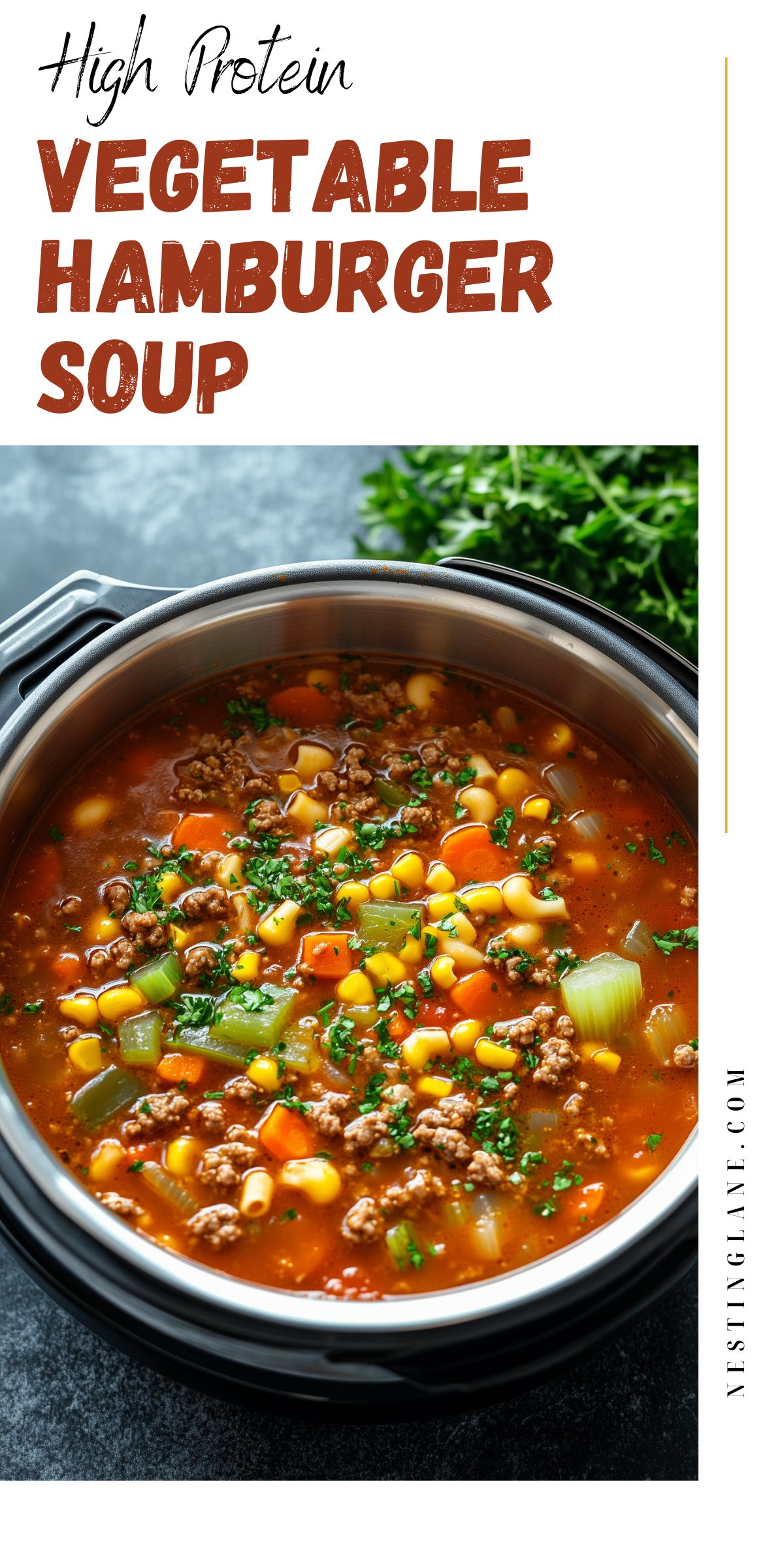 Vegetable Hamburger Soup graphic.