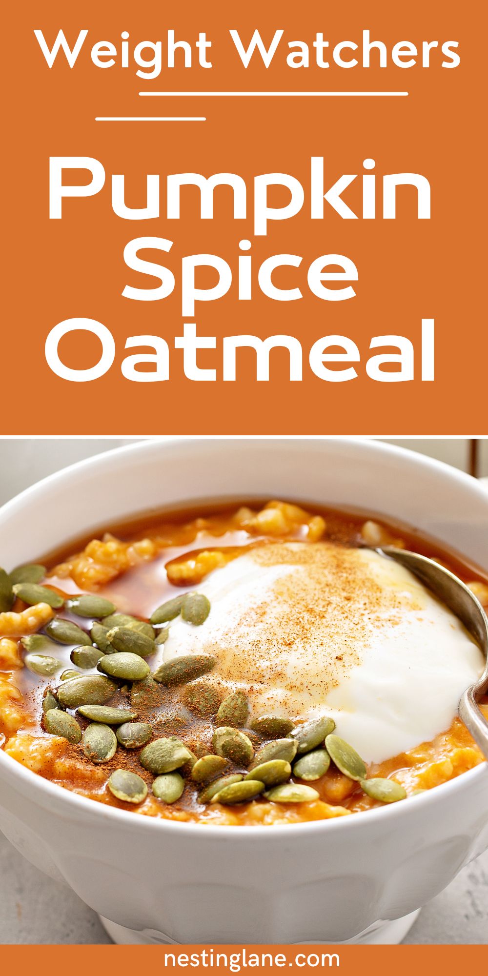 Slow Cooker Deluxe Pumpkin Oatmeal graphic.