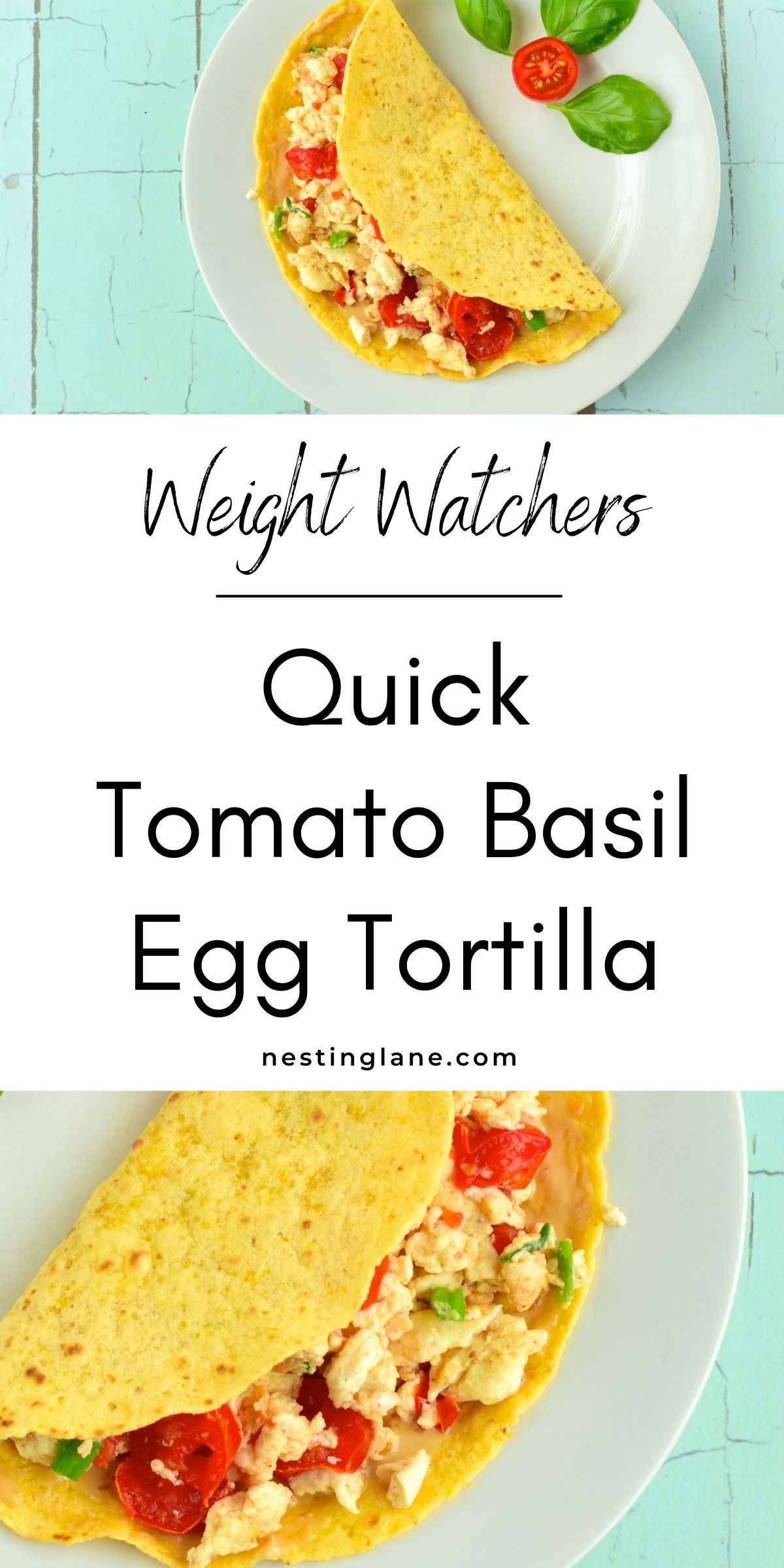 Tomato Basil Egg Tortilla graphic.