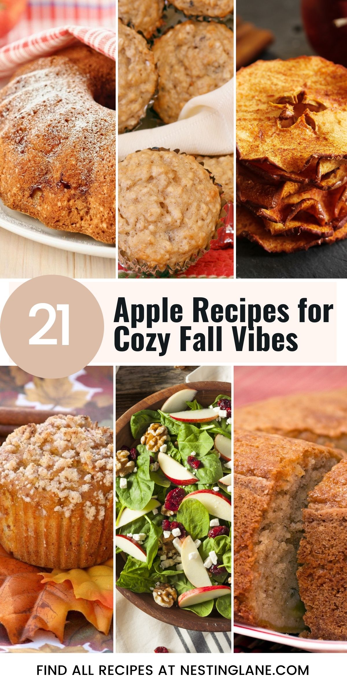 A collage of cozy fall apple recipes including apple bundt cake dusted with powdered sugar, oatmeal apple muffins, baked apple chips, a crumb-topped apple muffin, fresh apple spinach salad with walnuts and cranberries, and a moist apple cake. Text overlay reads “21 Apple Recipes for Cozy Fall Vibes” with a note to find all recipes at NestingLane.com.