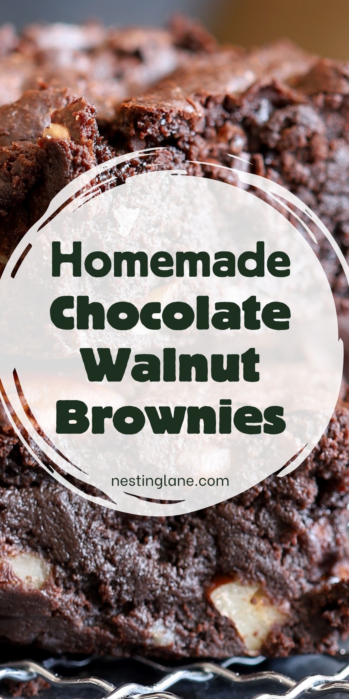 Close-up of fudgy homemade chocolate walnut brownies with a rich, moist crumb and visible chopped walnuts throughout. Thick brownie squares stacked together, showing dense chocolate texture. Overlaid text reads “Homemade Chocolate Walnut Brownies” with “nestinglane.com” at the bottom.