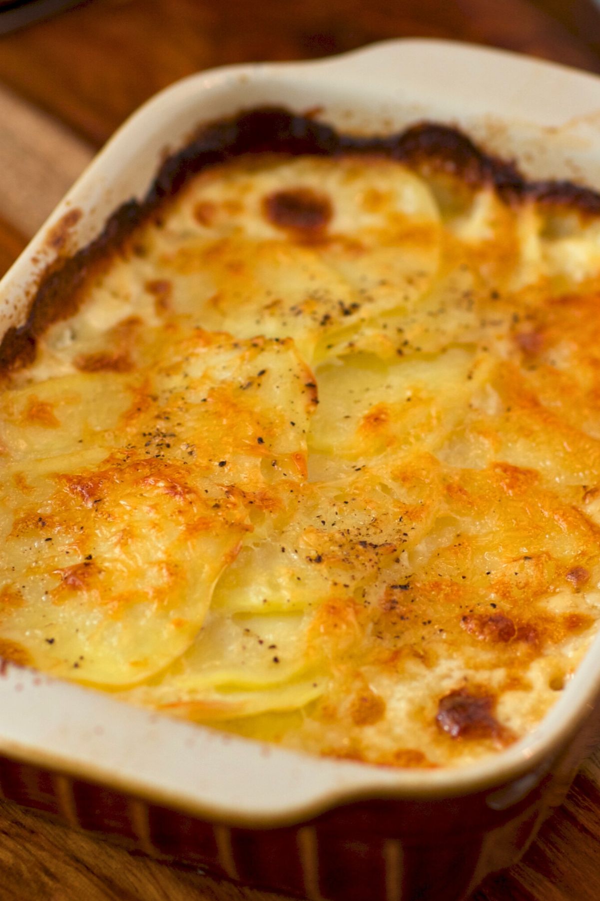 Cozy Alfredo Potato Lasagna in a baking dish.