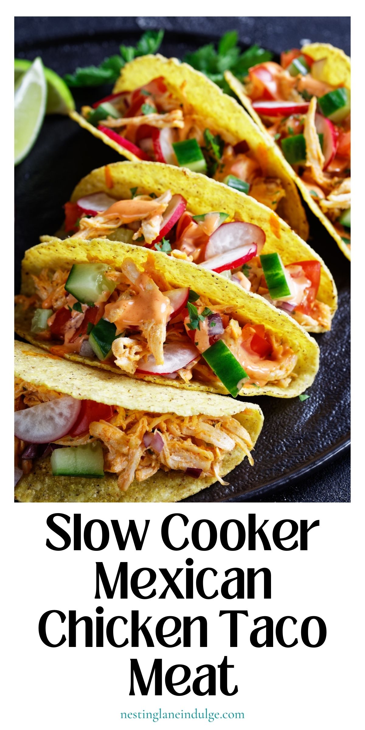 Slow Cooker Mexican Chicken Taco Meat graphic.