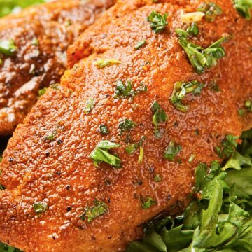 Blackened salmon fillet with a deep golden brown spice crust resting on mixed leafy greens. The salmon is coated in seasoning, lightly glossy with oil, and sprinkled with chopped fresh herbs, served as a high protein salmon salad on a white plate.