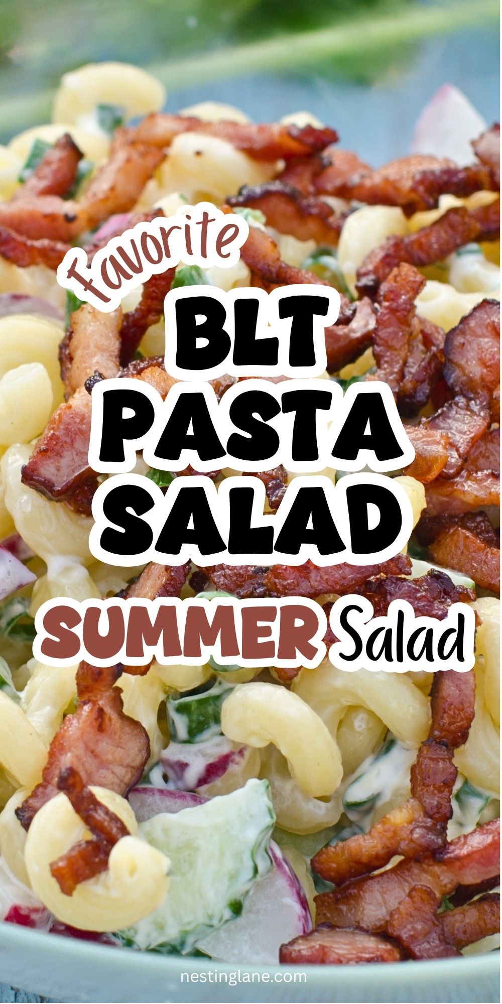 Close-up Pinterest pin for BLT pasta salad with creamy elbow macaroni, crispy bacon, lettuce, and red onion in a bowl. Overlaid text says “favorite BLT PASTA SALAD” and “SUMMER Salad.” Small text at bottom reads “nestinglane.com”.