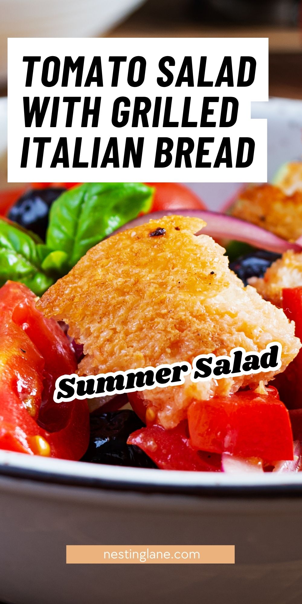 Pinterest pin for tomato salad with grilled Italian bread, showing toasted bread cubes over chopped tomatoes, black olives, red onion, and fresh basil. Text says “TOMATO SALAD WITH GRILLED ITALIAN BREAD” and “Summer Salad.” Bottom text reads “nestinglane.com”.