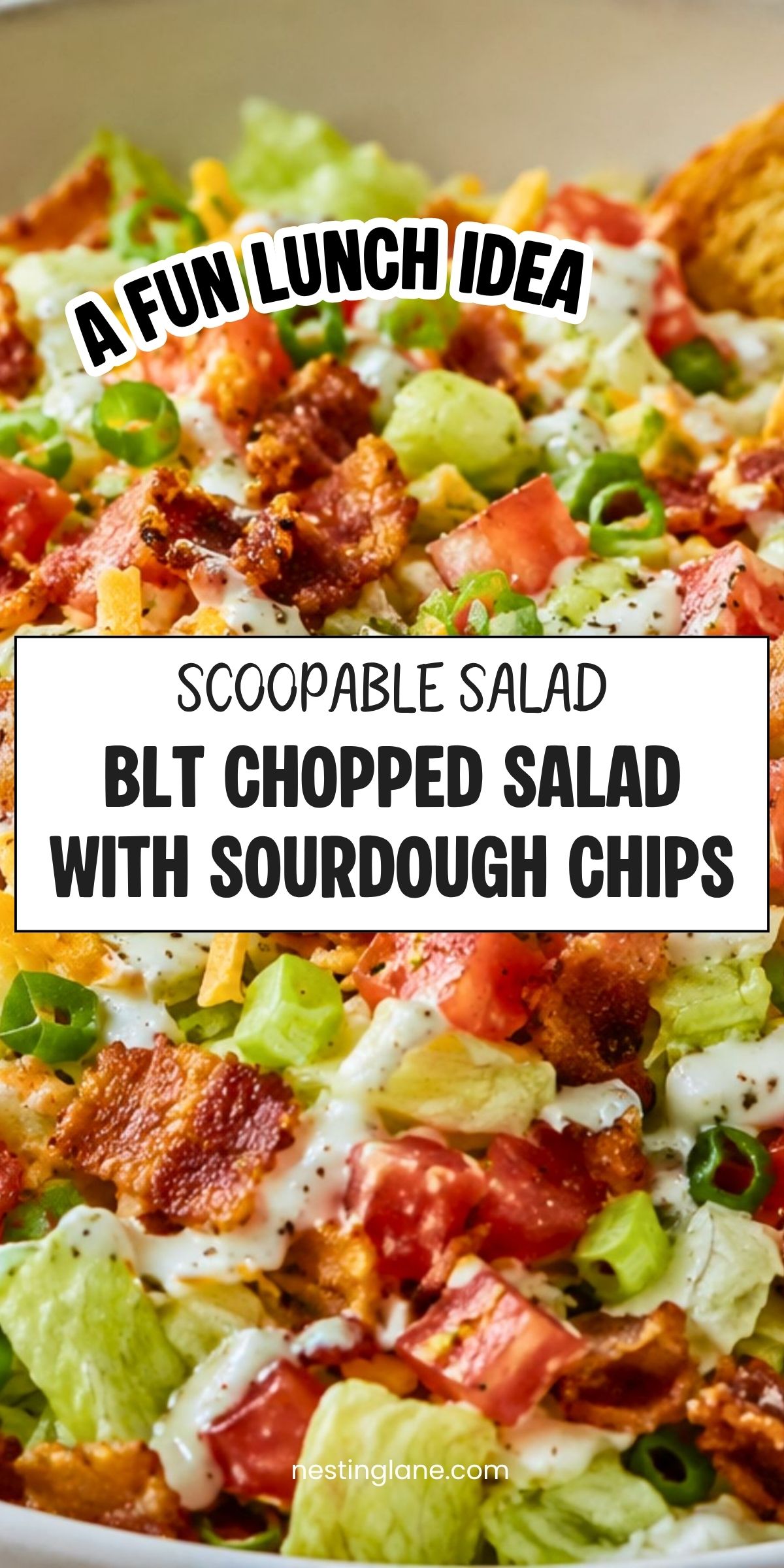 BLT chopped salad with bacon, lettuce, tomato, green onions, creamy dressing, and sourdough chips. Text reads: āA Fun Lunch Idea. Scoopable Salad. BLT Chopped Salad with Sourdough Chips. nestinglane.comā