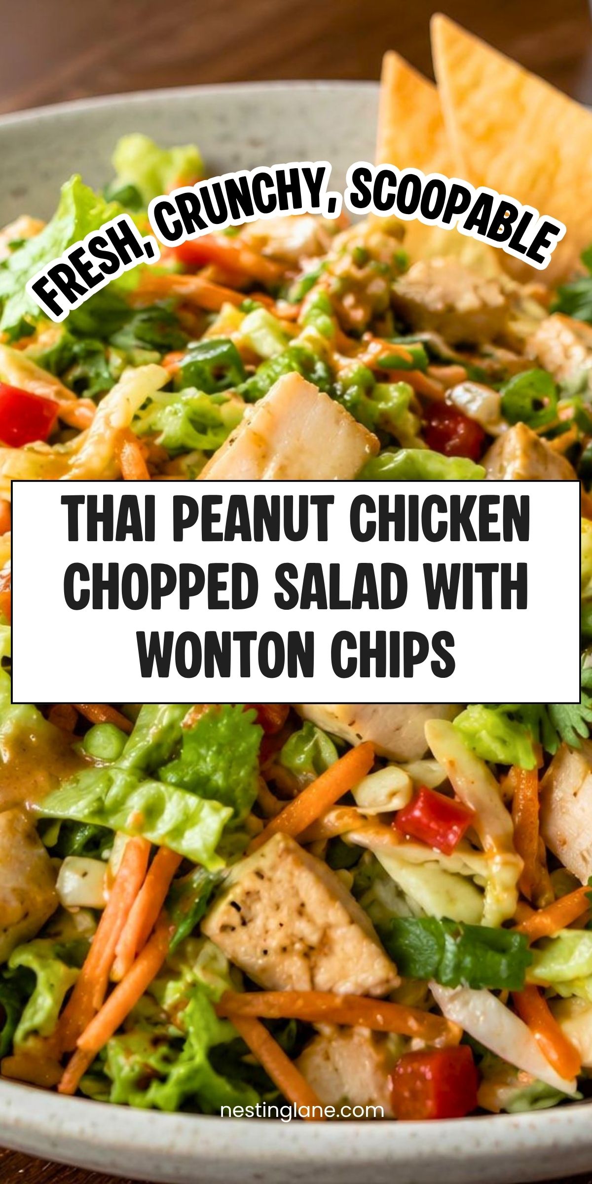 Thai peanut chicken chopped salad with lettuce, chicken, carrots, cabbage, peppers, green onions, peanut dressing, and wonton chips. Text reads: āFresh, Crunchy, Scoopable. Thai Peanut Chicken Chopped Salad with Wonton Chips. nestinglane.comā
