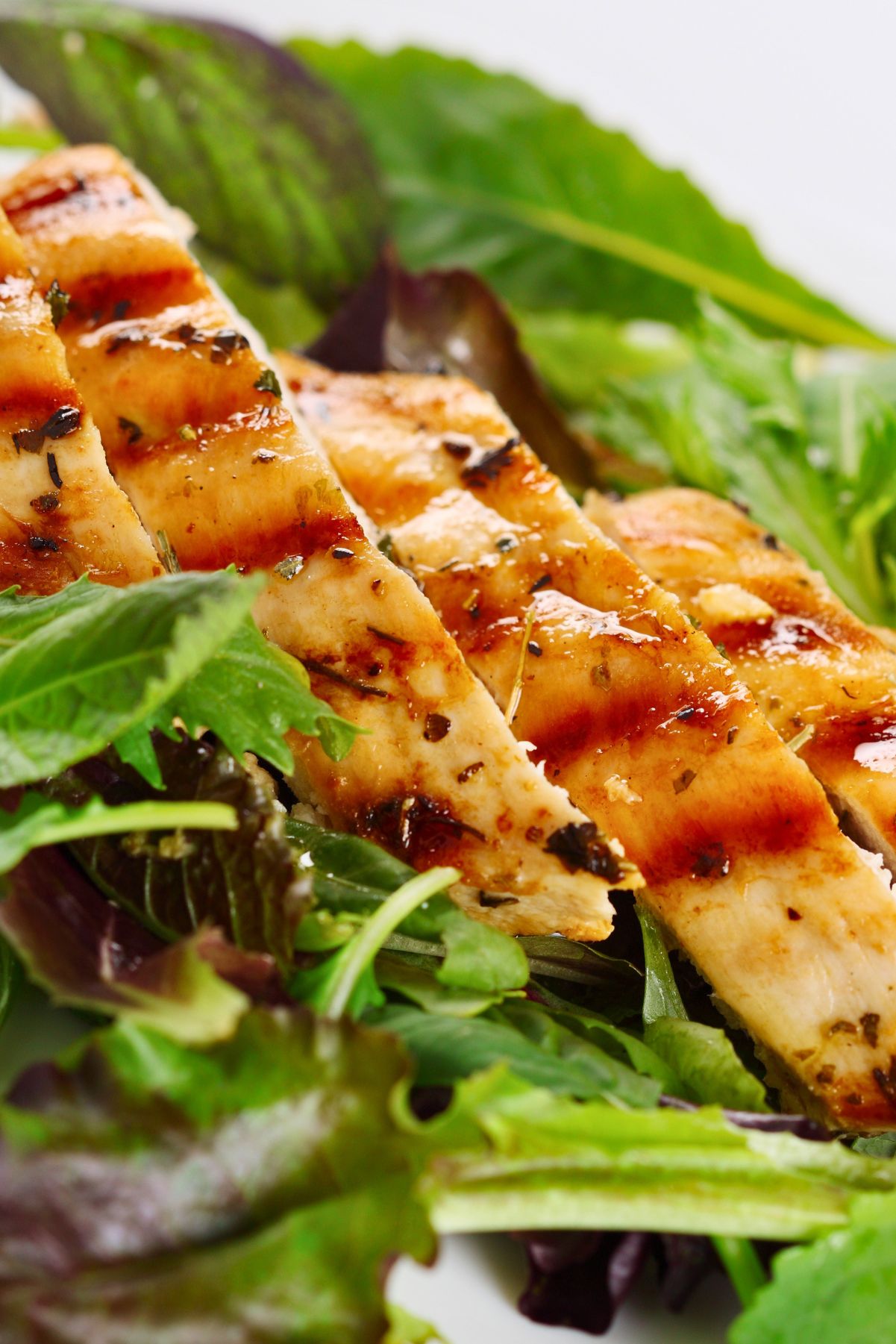 Sliced grilled chicken with visible grill marks and herb seasoning served over fresh mixed greens for a simple grilled chicken salad.