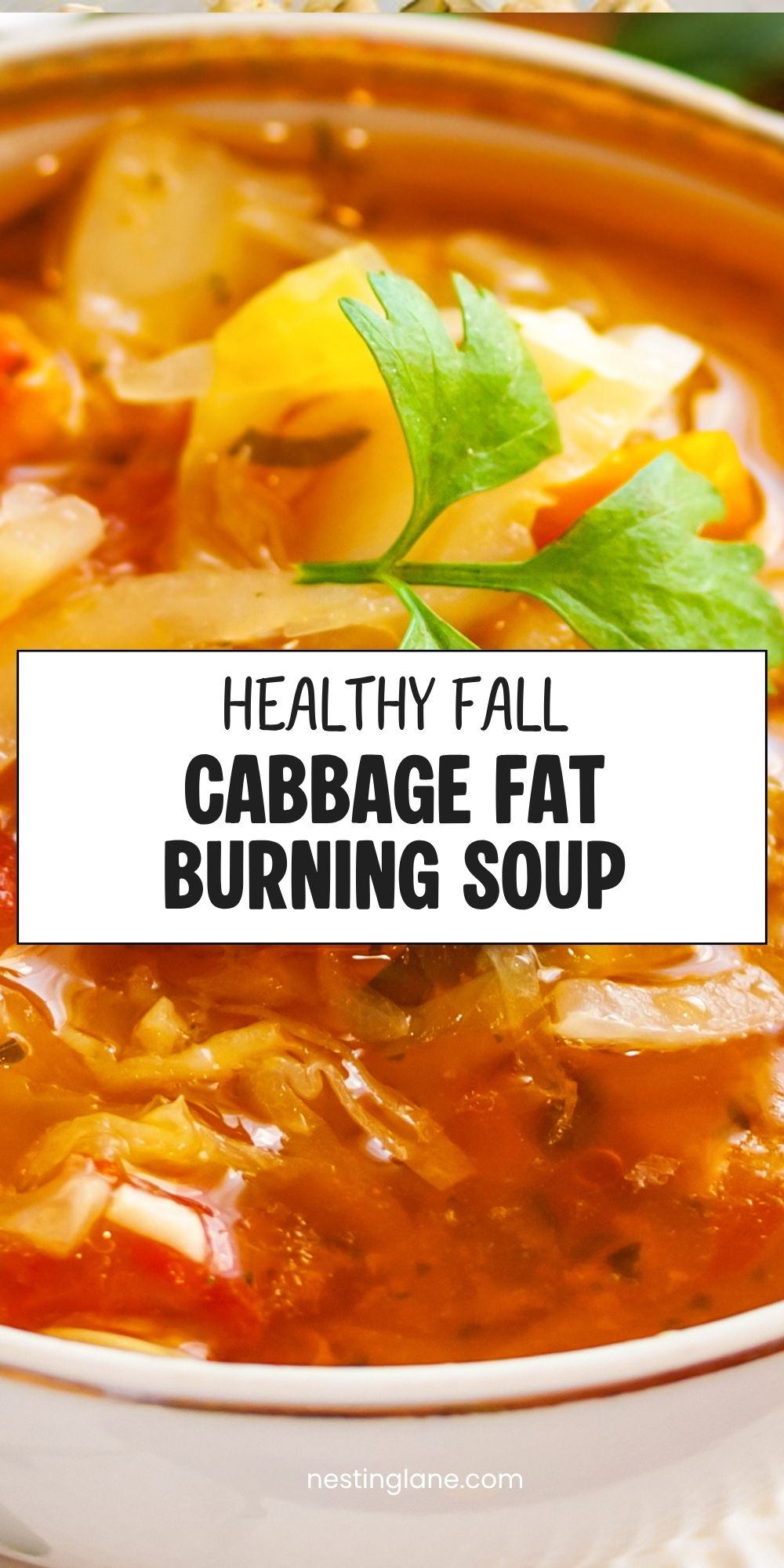 Cabbage fat burning soup with chopped cabbage, tomatoes, peppers, and parsley in a tomato broth. Text reads “Healthy Fall Cabbage Fat Burning Soup” and “nestinglane.com.”