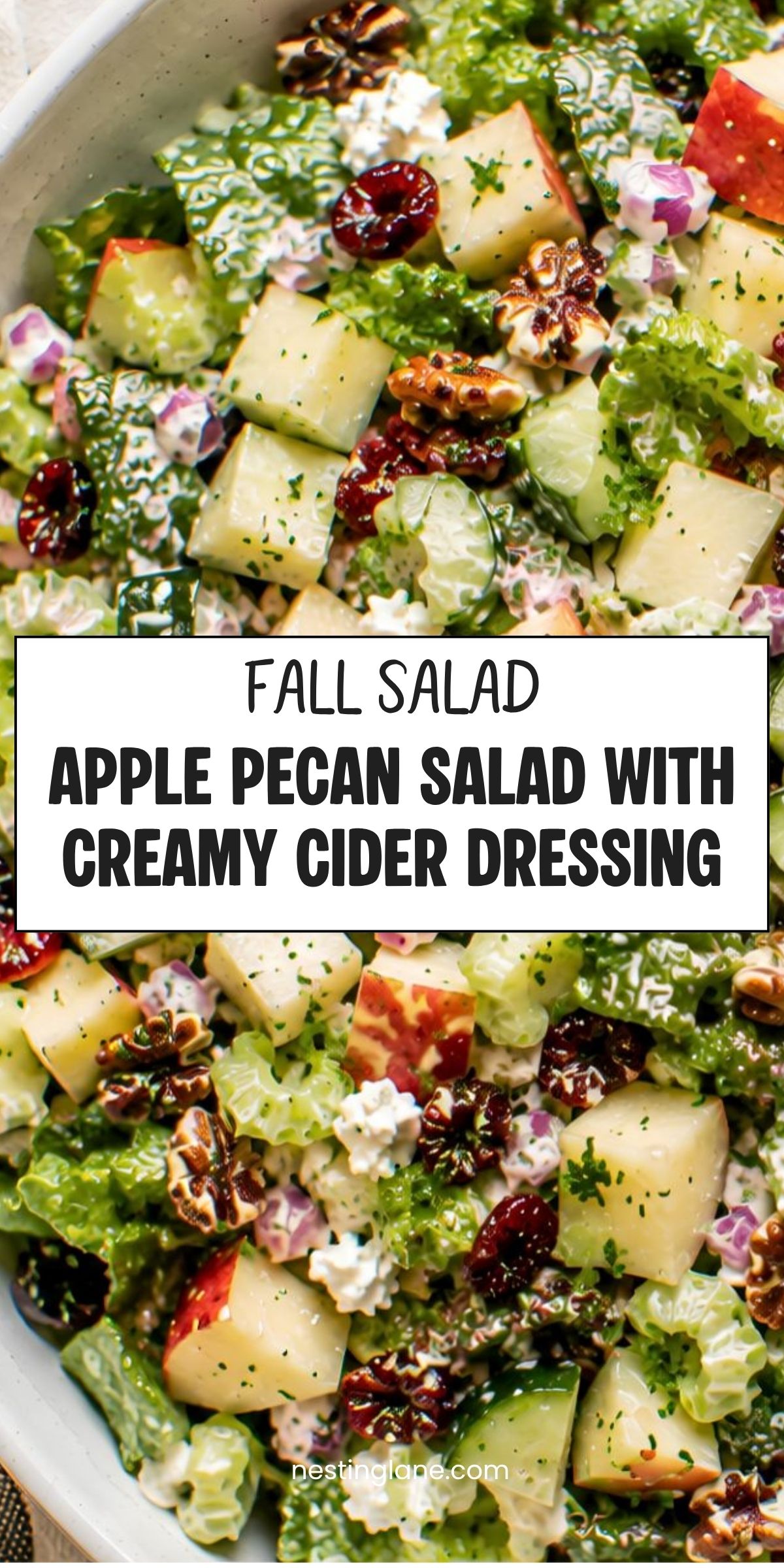 Close-up apple pecan fall salad with romaine, chopped apples, cucumber, dried cranberries, feta, red onion, pecans, and creamy cider dressing. Text reads: “Fall Salad Apple Pecan Salad with Creamy Cider Dressing” and “nestinglane.com.”