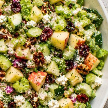 Close-up apple pecan salad with chopped romaine, red apples, cucumber, celery, dried cranberries, feta cheese, red onion, and toasted pecans coated in creamy apple cider dressing.
