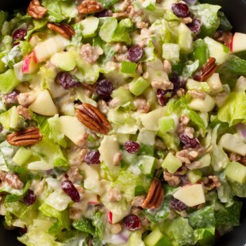 Close-up of apple pecan salad with crisp lettuce, apples, pecans, dried cranberries, celery, and creamy cider dressing.